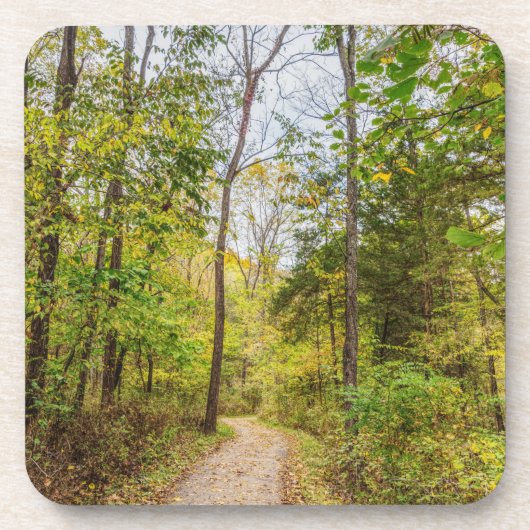 Ein Runge-Spaziergang im Herbst Getränkeuntersetzer (Vorderseite)