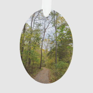 Ein Runge-Spaziergang im Herbst Ornament