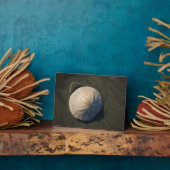 Ein Sand Dollar am Strand Fotoplatte (Seite)