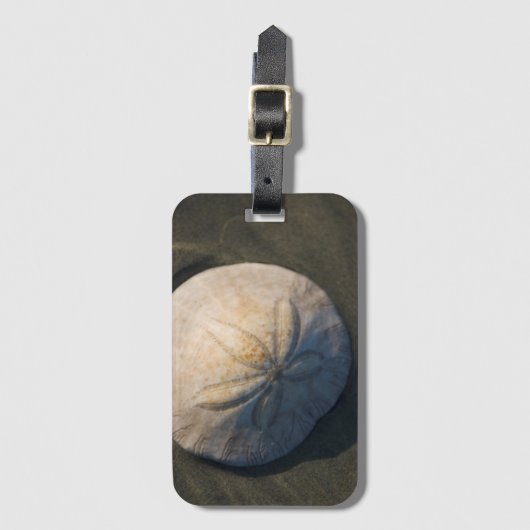 Ein Sand-Dollar auf dem Strand Gepäckanhänger (Vorderseite Vertikal)