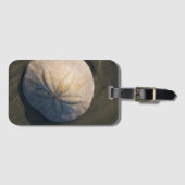 Ein Sand-Dollar auf dem Strand Gepäckanhänger (Vorderseite (Horizontal))
