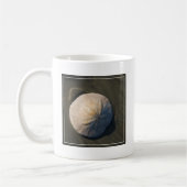 Ein Sand-Dollar auf dem Strand Kaffeetasse (Links)