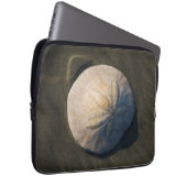 Ein Sand-Dollar auf dem Strand Laptopschutzhülle (Vorne Rechts)