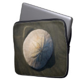 Ein Sand-Dollar auf dem Strand Laptopschutzhülle (Vorderseite Links)