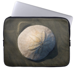 Ein Sand-Dollar auf dem Strand Laptopschutzhülle