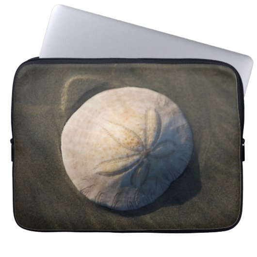 Ein Sand-Dollar auf dem Strand Laptopschutzhülle (Vorderseite)