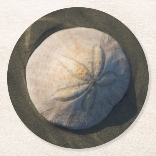 Ein Sand-Dollar auf dem Strand Runder Pappuntersetzer (Vorderseite)