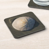 Ein Sand-Dollar auf dem Strand Untersetzer (Linke Seite)