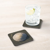 Ein Sand-Dollar auf dem Strand Untersetzer (Rechte Seite)