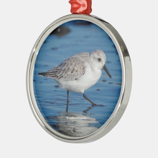 Ein sanfter Sandpiper am Strand Silbernes Ornament (Links)