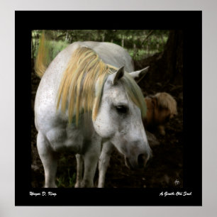 Ein sanftes altes Soul-Poster Poster