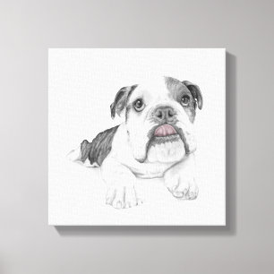 Ein Sassy Bulldog-Welpe, der Zeichne Leinwanddruck