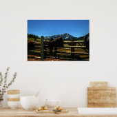 Ein Sattel auf der Straße Poster (Küche)