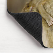 Ein Säugling Yellow Baboon (Papio Mousepad (Ecke)
