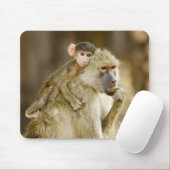 Ein Säugling Yellow Baboon (Papio Mousepad (Mit Mouse)