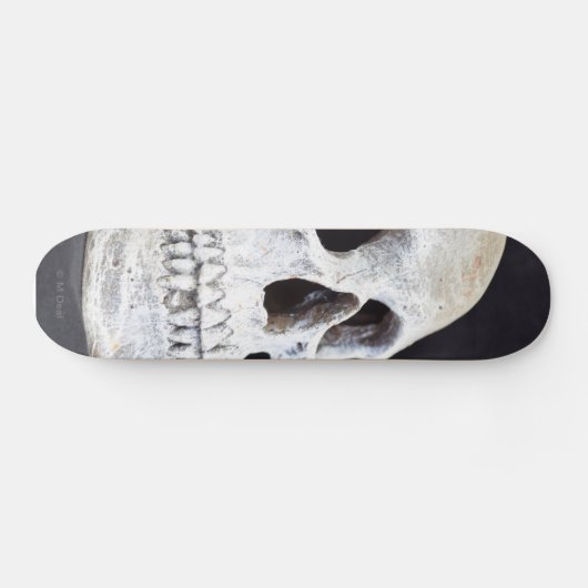 Ein Schädel Skateboard (Horizontal)