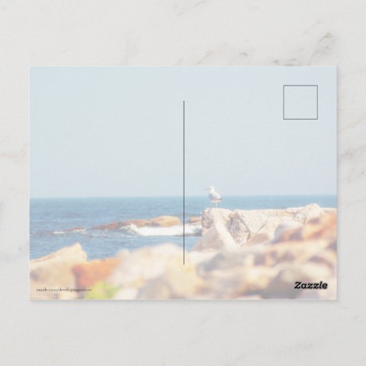 Ein Schädelposten Postkarte (Rückseite)