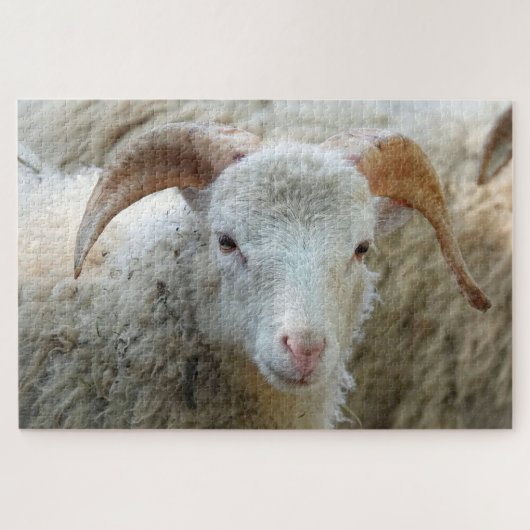 Ein Schaf mit Hörnern Puzzle (Horizontal)