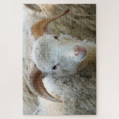 Ein Schaf mit Hörnern Puzzle (Vertikal)
