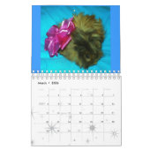 Ein Schein der Liebe Kalender (Mär 2026)