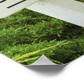 Ein Schild, das auf den Weinkeller (Höhle) hinweis Poster (Ecke)