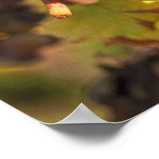 Ein schimmernder Semillon-Traubensaft im Ch Raymon Poster (Ecke)