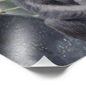 Ein Schimpanse sitzt und streift Foto (Ecke)