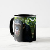 Ein Schimpanse starrt dir direkt in die Augen. Tasse (Vorderseite Links)
