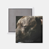 Ein schlafender Bullenhund Magnet (Vorderseite/Rückseite)
