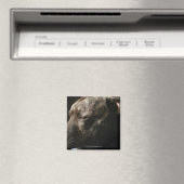 Ein schlafender Bullenhund Magnet (In Situ (Geschirrspüler))