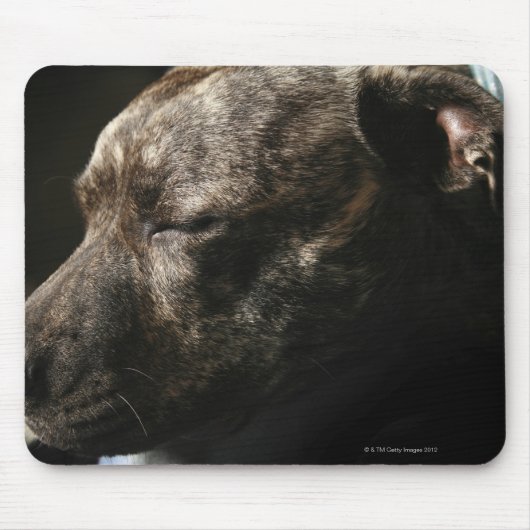Ein schlafender Bullenhund Mousepad (Vorne)
