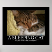 Ein schlafendes Katzenwerk Poster (Vorne)