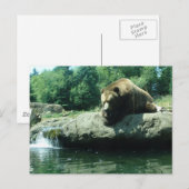 Ein schlechter Tag beim Fischen Postkarte (Vorne/Hinten)
