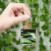 Ein Schlüsselanhänger mit einem ausgefallenen Ersc (Hand)