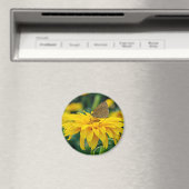 Ein Schmetterling auf einem gelben Blume-Magneten Magnet (In Situ (Geschirrspüler))