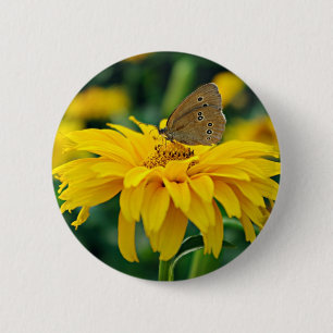 Ein Schmetterling auf einer gelben Blume Button