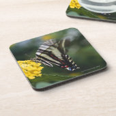 Ein Schmetterling, in der Familie von Fracks oder Untersetzer (Linke Seite)