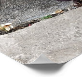 Ein Schmetterling landete auf Violett Poster (Ecke)