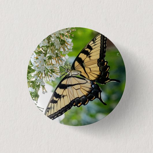 Ein Schmetterling mit gelben und schwarzen Flügeln Button (Vorderseite)