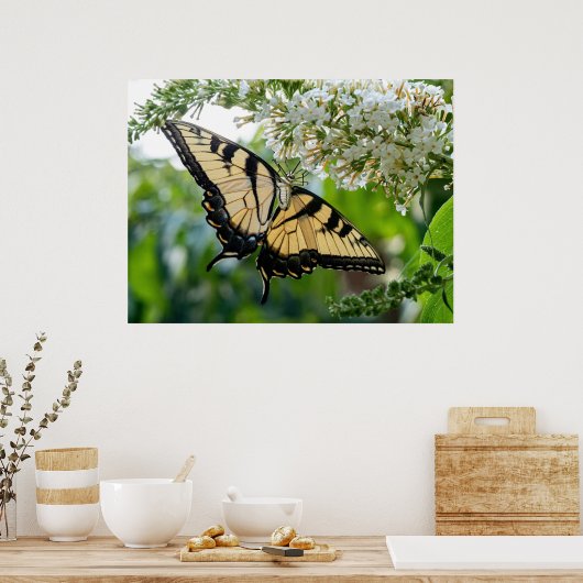 Ein Schmetterling mit gelben und schwarzen Flügeln Poster (Küche)