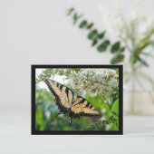 Ein Schmetterling mit gelben und schwarzen Flügeln Postkarte (Stehend Vorderseite)