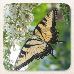 Ein Schmetterling mit gelben und schwarzen Flügeln Rechteckiger Pappuntersetzer