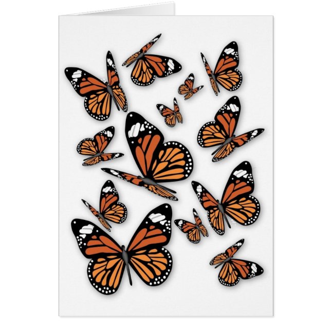 Ein Schmetterlingsflug (Vorne)