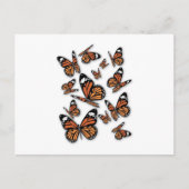 Ein Schmetterlingsflug Postkarte (Vorderseite)