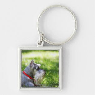 Ein Schnauzer, der in das Gras legt Schlüsselanhänger