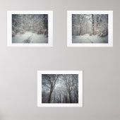 Ein schneebedeckter Weg durch einen Winterwald Bilderwand Sets (Vorderseite)