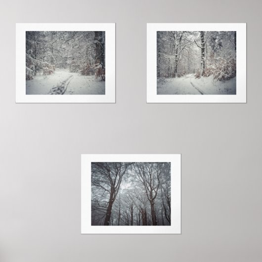 Ein schneebedeckter Weg durch einen Winterwald Bilderwand Sets (Vorderseite)