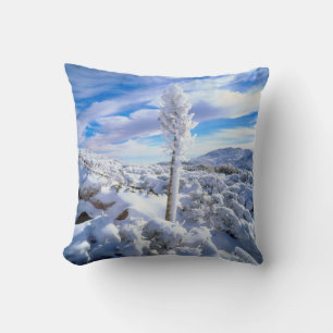 Ein schneebedeckter Yucca Kissen