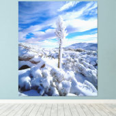 Ein schneebedeckter Yucca Leinwanddruck (Insitu (Holzboden))