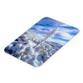 Ein schneebedeckter Yucca Magnet (Linke Seite)